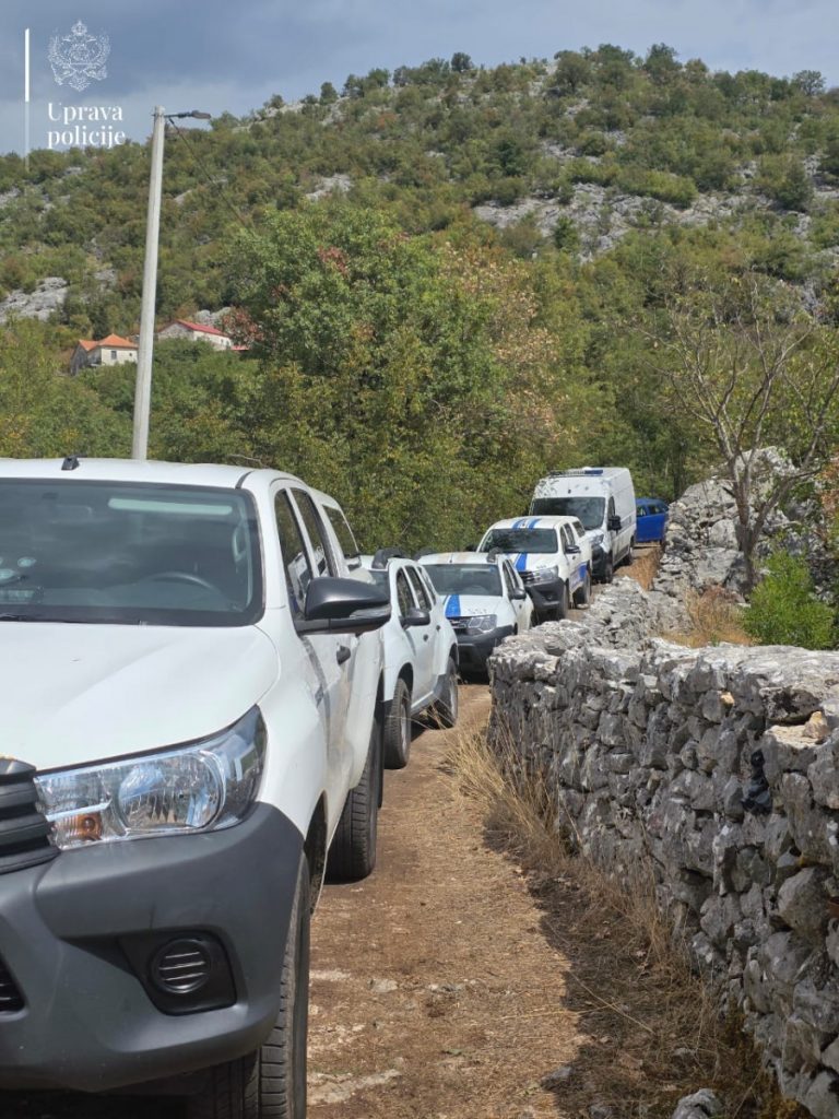 Otkrivena najveća plantaža marihuane u Crnoj Gori: Uhapšeni Baranin i Zećanin – pretresene kuće i kola na četiri lokacije, osumnjičeni sprovodili kontra-nadzor