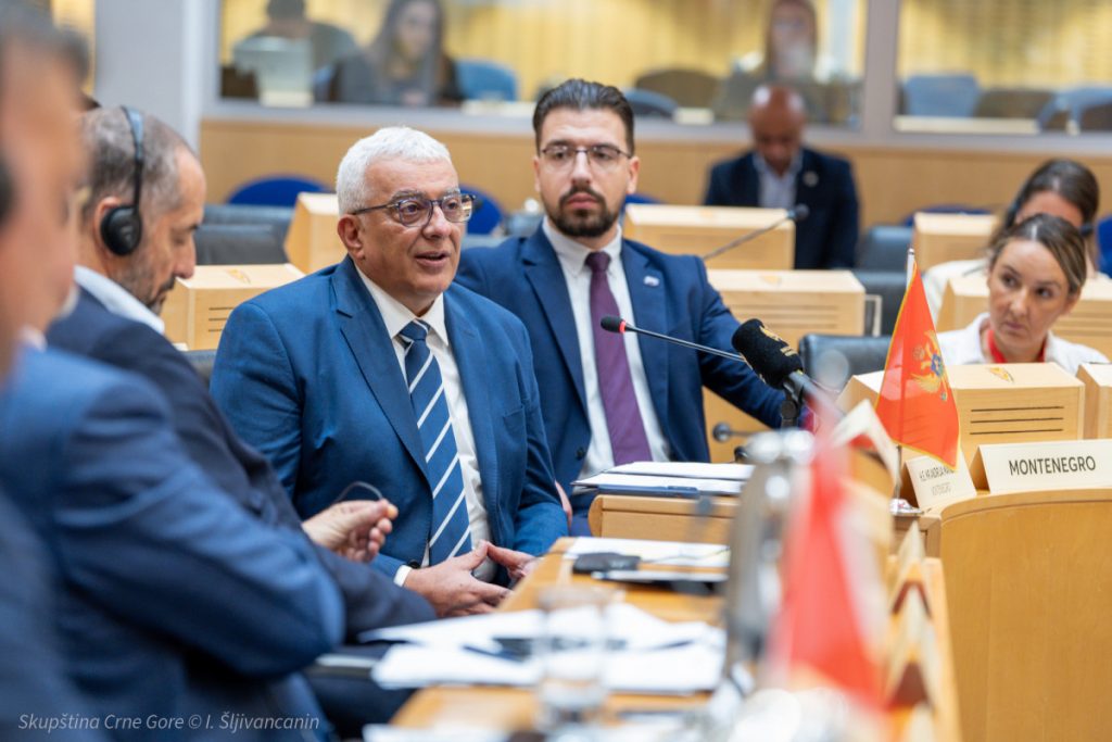 Mandić u Skupštini Kipra: Vodimo snažnu i odvažnu borbu protiv organizovanog kriminala i korupcije, nismo zadovoljni radom pravosuđa! (FOTO/VIDEO)