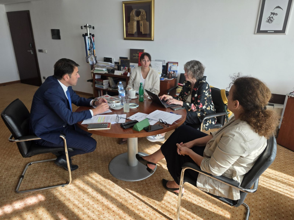 Mihailović i Radulović razgovarali sa zamjenicom šefa SIGMA Programa o DRI i Poglavlju 32