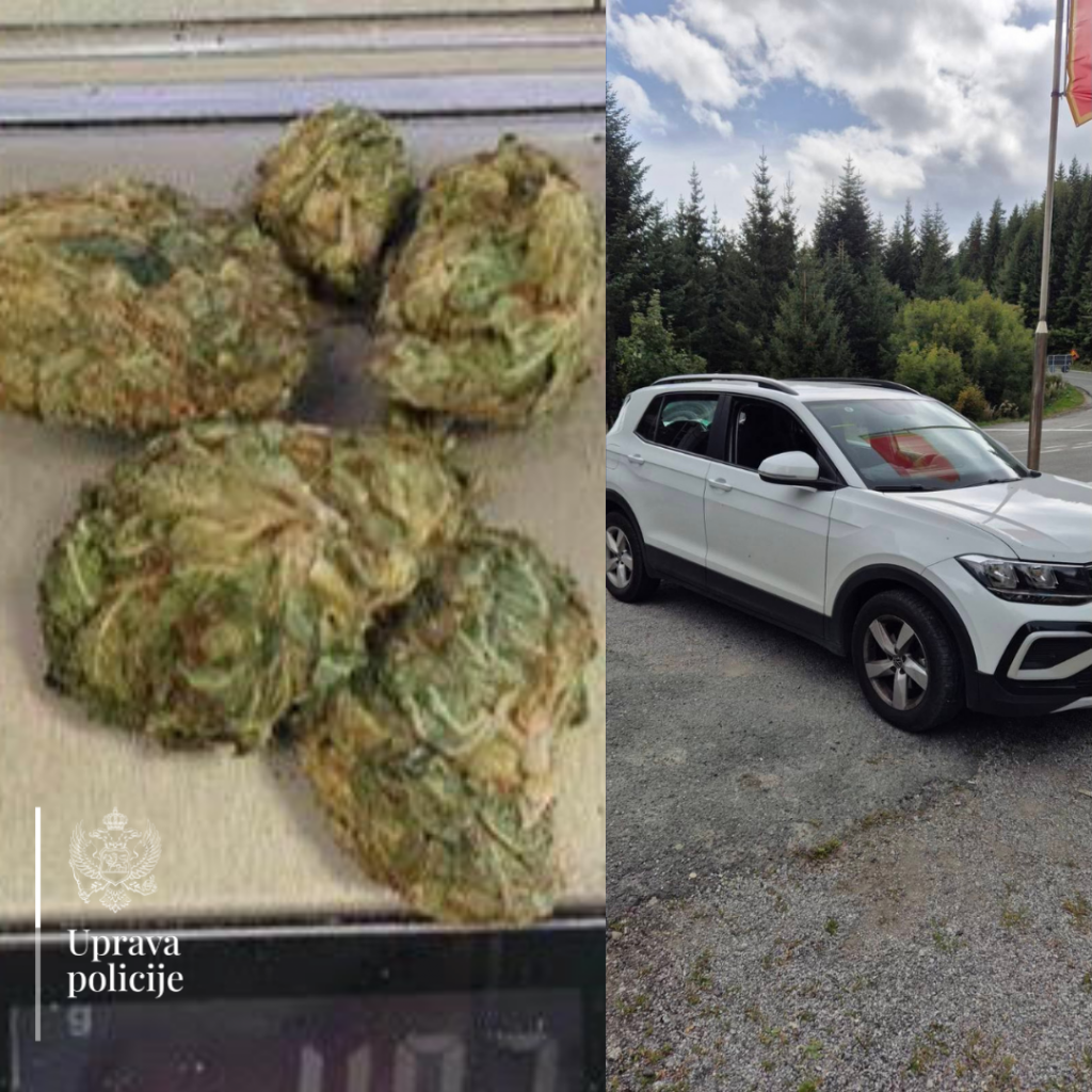 Granična policija podnijela prekršajnu prijavu protiv osobe kod koje je pronađena marihuana prilikom granične kontrole