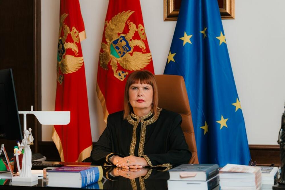 Pavličić: Medenica izrekla notornu neistinu, nisam okupljala sudije zbog njene presude