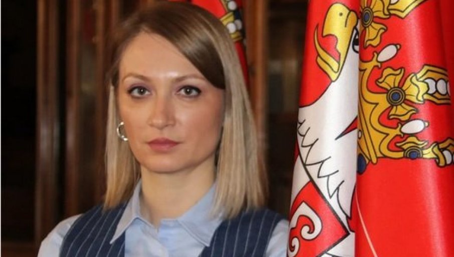 Pantić Pilja: Jadni Borko Stefanović, baš ga boli Aleksandar Vučić u UN