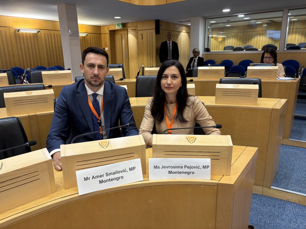 Delegacija Skupštine na sastanku Mreže mladih parlamentarac, Pejović: Neophodno obezbijediti finansiranje i pravni okvir koji podržava ulogu mladih u izgradnji mira