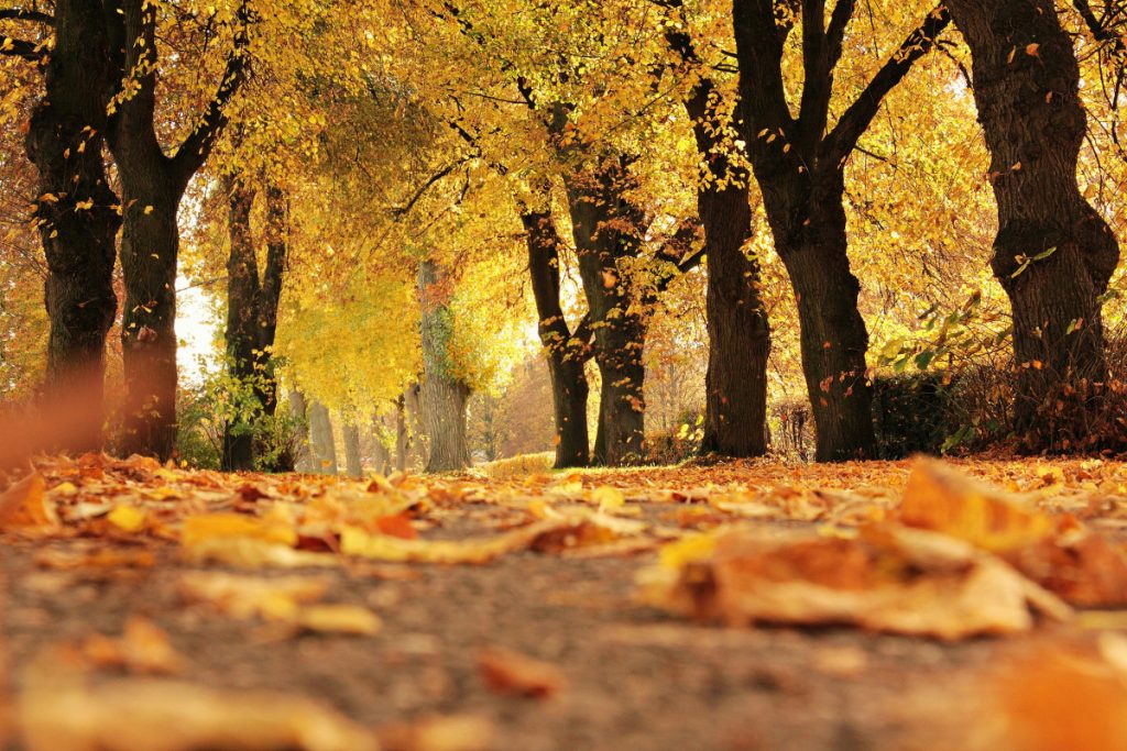 U četvrtak pretežno sunčano, temperatura do 19 stepeni