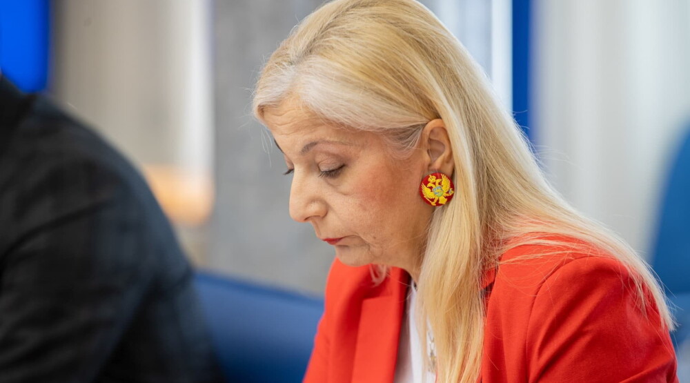 Despotović: Dok tužilaštvo progoni političke neistomišljenike vlasti, ispod radara prolazi neozbiljnost i neodgovornost Jokovićevog resora