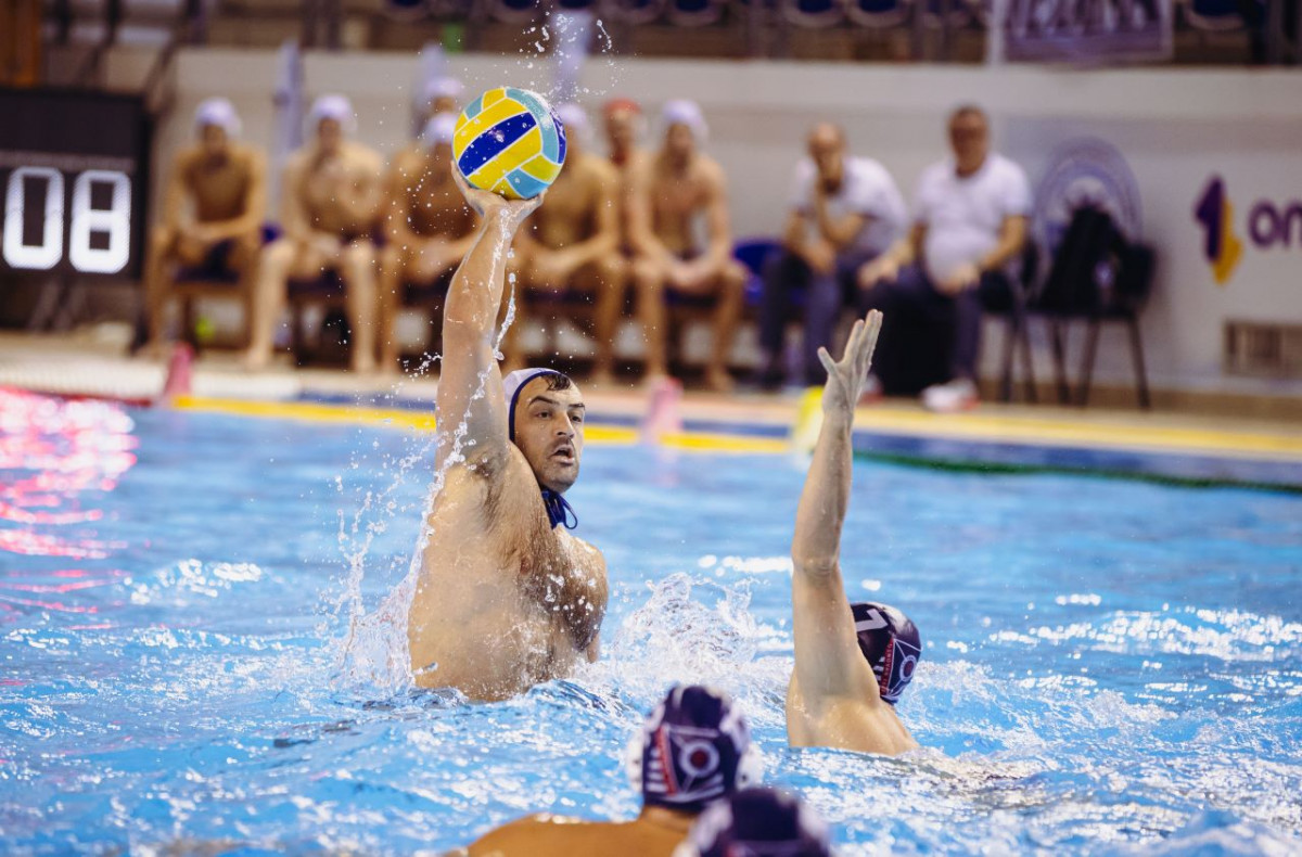 Darko Brguljan