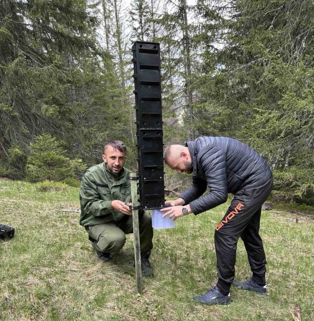 Nacionalni parkovi Crne Gore: Brojnost potkornjaka ove godine smanjena 60 odsto