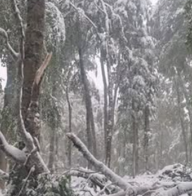 Biogradska gora zatvorena za posjete