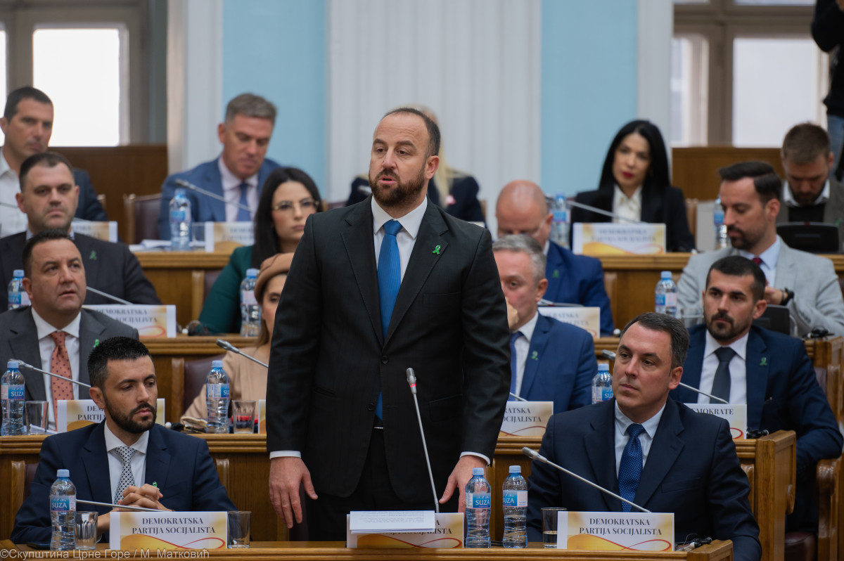 andrija nikolic