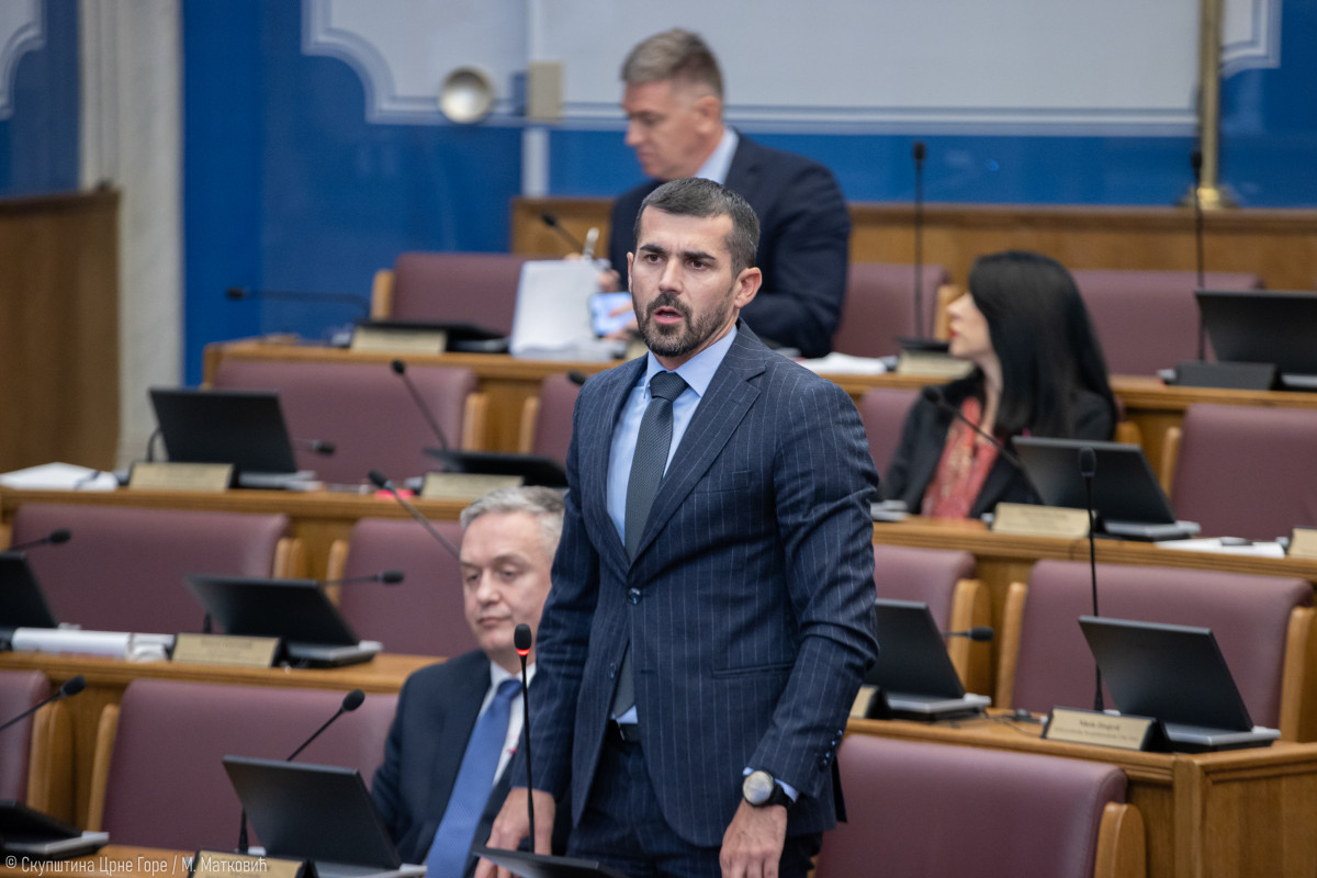 branislav nenezic