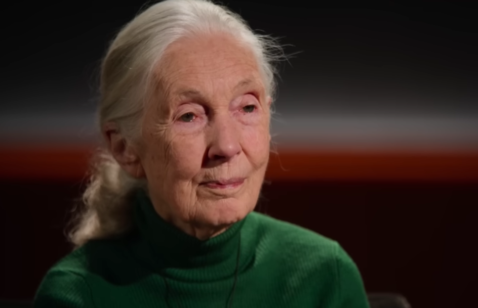 VIDEO: Netflix šokirao najnovijim projektom: Nova serija otkriva oproštajne poruke slavnih nakon smrti