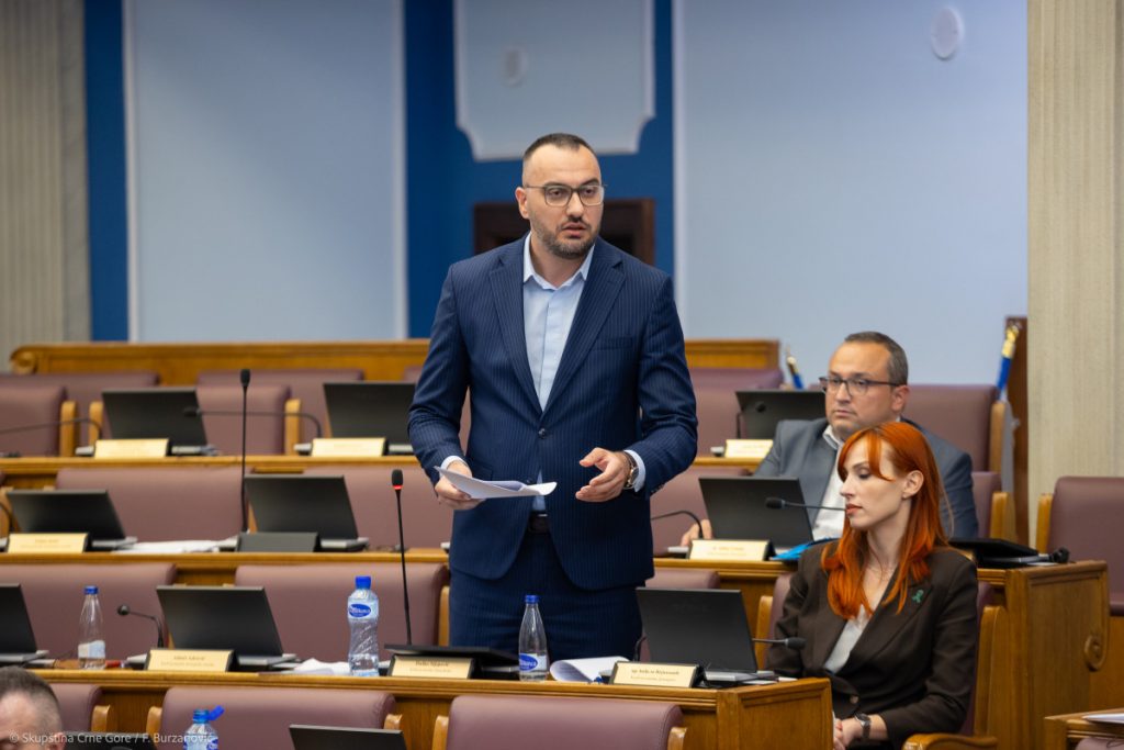 Stjepović o snimku Medenice: Udaraju na nekoga na koga nisu smjeli, AI sinovi će uskoro biti sa pravom majkom