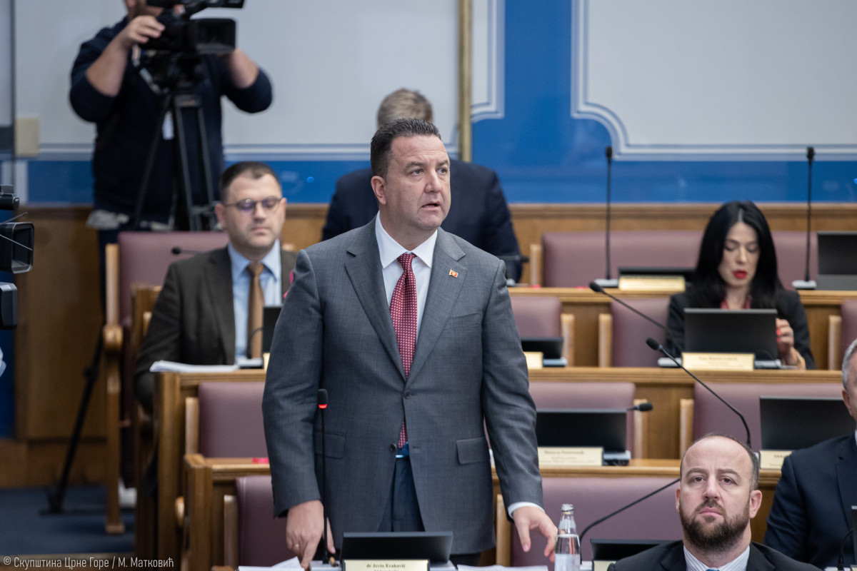 jevtoo erakovic