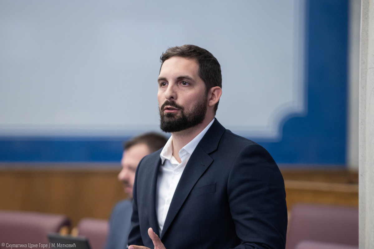 momciloo lekovic