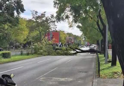 Palo stablo na Bulevaru Svetog Petra Cetinjskog, zatvorene obje trake od grada ka Bloku pet