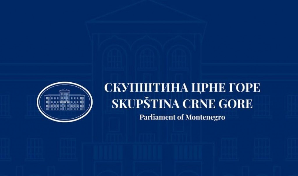 Kontrolno saslušanje o slučaju Telekom, pozvani VDT i SDT (VIDEO)