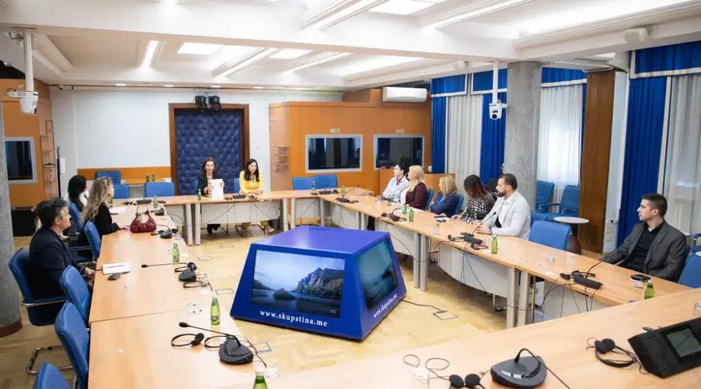Uspostaviti jasan mehanizam koordinacije u cilju efikasnog djelovanja u oblasti mentalnog zdravlja