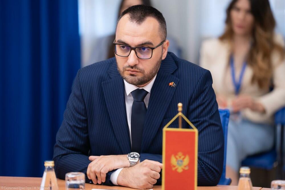 stijepović dusko