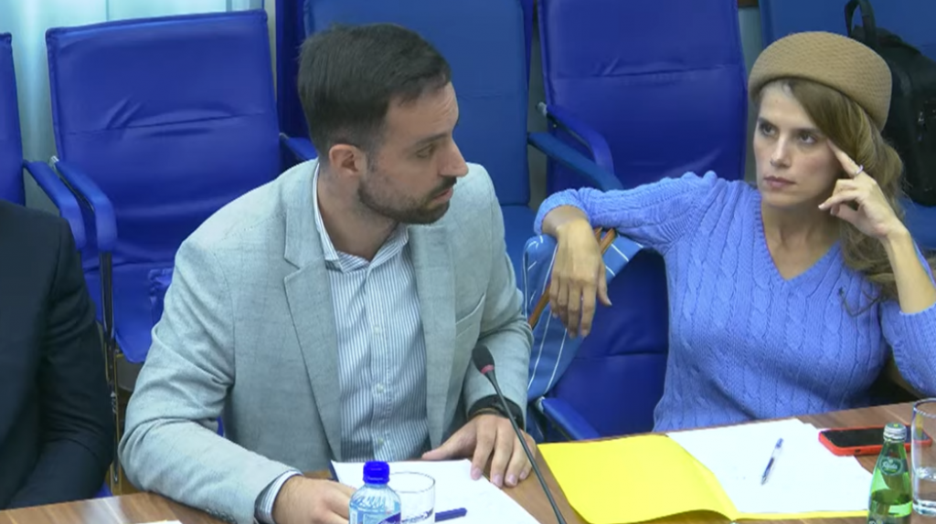 Sjednica odbora bila na kratko prekinuta zbog verbalnog sukoba poslanice Branke Marković (PES) i Nikole Zirojevića (SD)