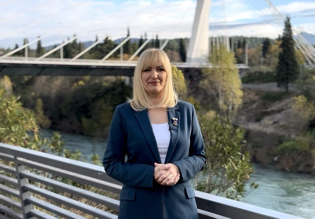 BOROVINIĆ