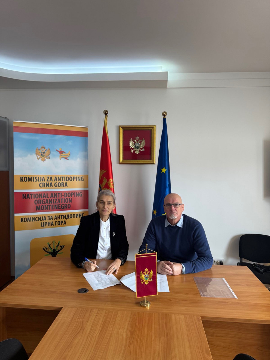 Memorandum, Komisija SSkerovic