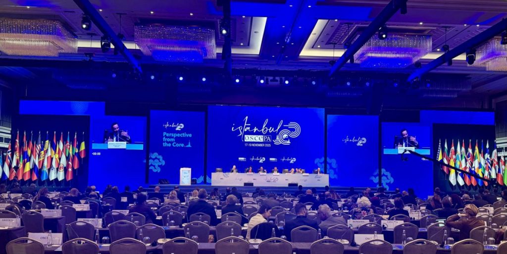 Delegacija Crne Gore u Istanbulu: Zaštita prava, jačanje dijaloga i regionalna saradnja