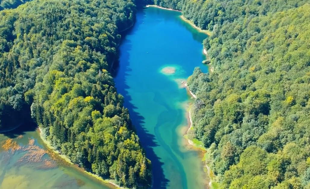 Screenshot 2025-11-19 at 18-35-20 (91) Biogradska Gora – Discover Montenegro in colour ™ CINEMATIC video – YouTube