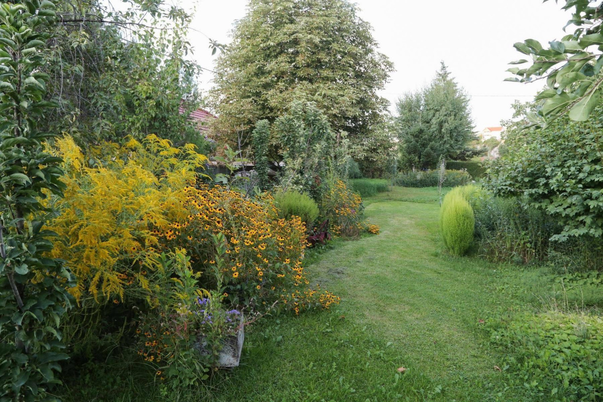dvoriste niksic