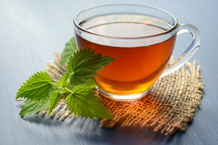 Biljkama protiv anemije: Čuveni travar otkriva kako poboljšati krvnu sliku na 3 načina