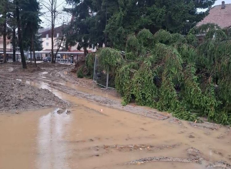 mojkovac sep