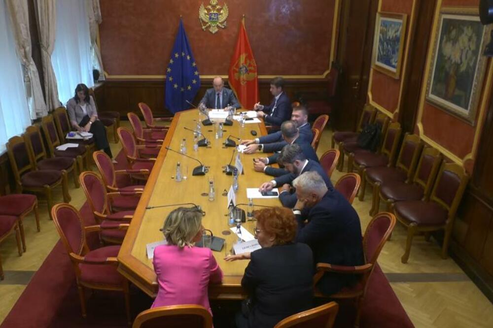 Odbor za ekonomiju predložio Radunovića za Senat DRI, opozicija napustila salu