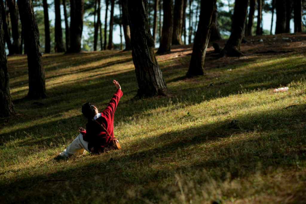 Kako 20 minuta u prirodi poboljšava vaše zdravlje
