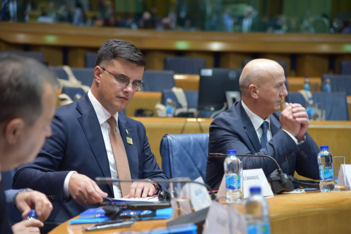 šaranović 3