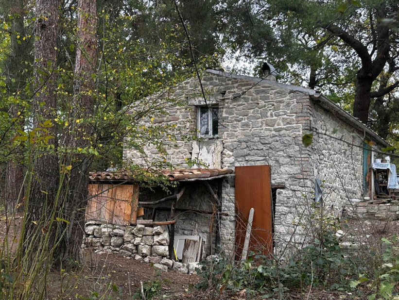 Sud oduzeo decu roditeljima jer žive u šumi: Sve se razotkrilo kada su se otrovali, oglasila se i premijerka Italije