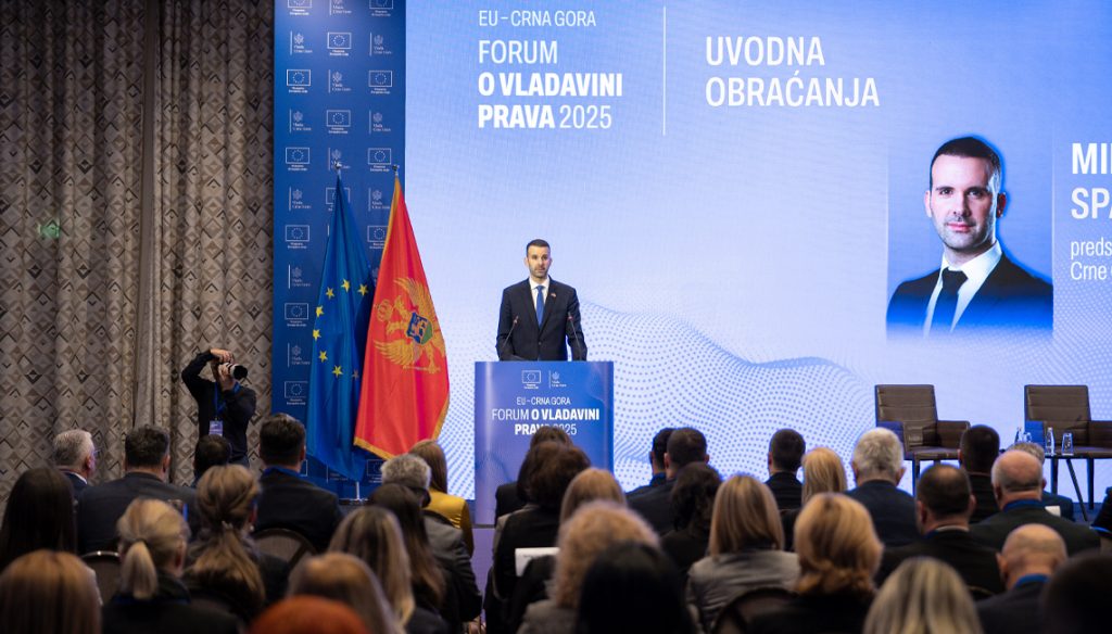 Spajić: Napredak Crne Gore na putu EU mora biti snažniji i brži