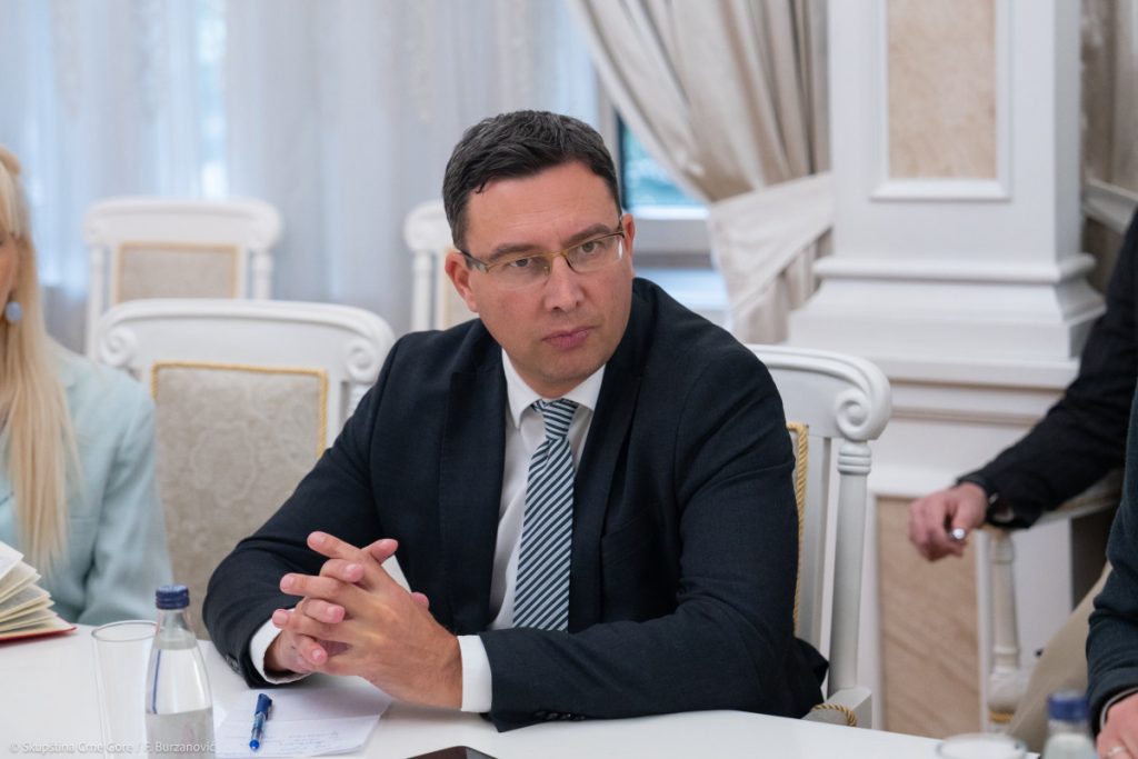 Bojović u Strazburu: „Nerješavanje identitetskih pitanja otežava i usporava evropski put Crne Gore“