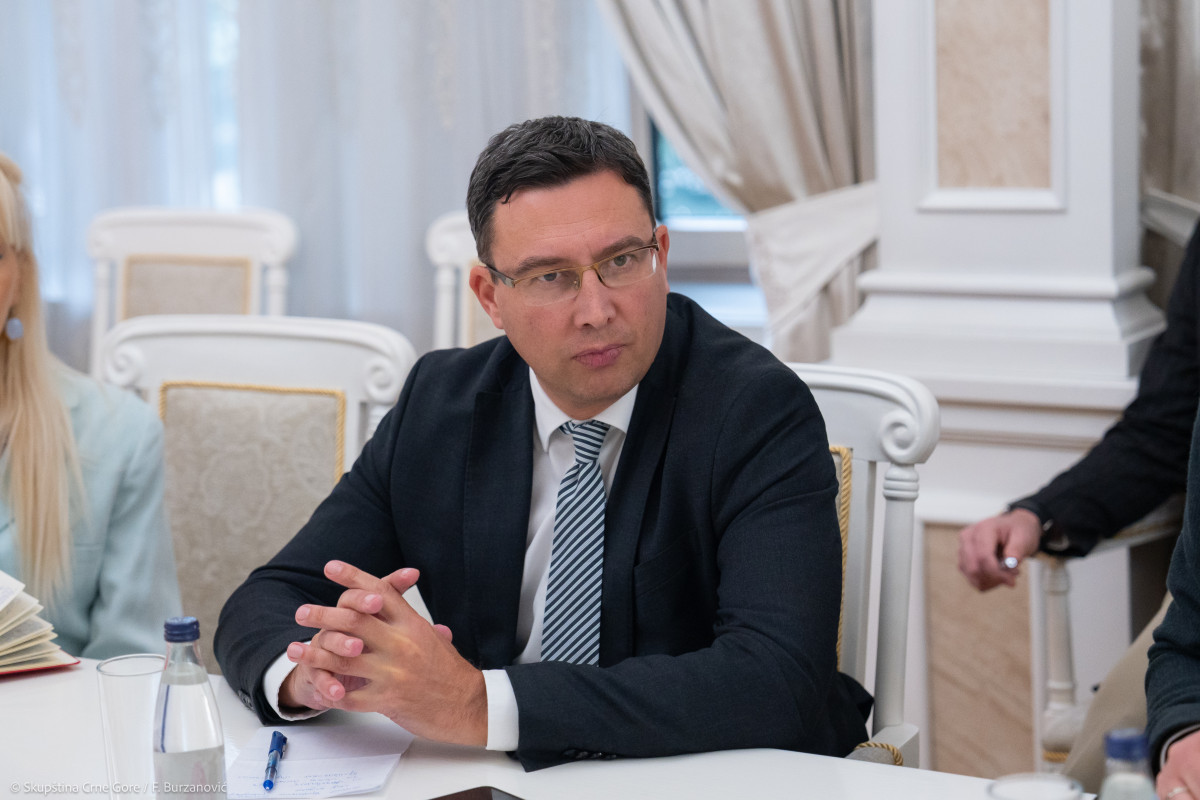 vladislav bojovic