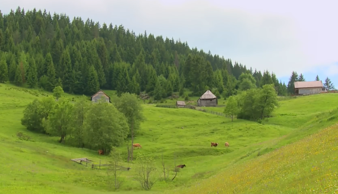 vraneska dolina