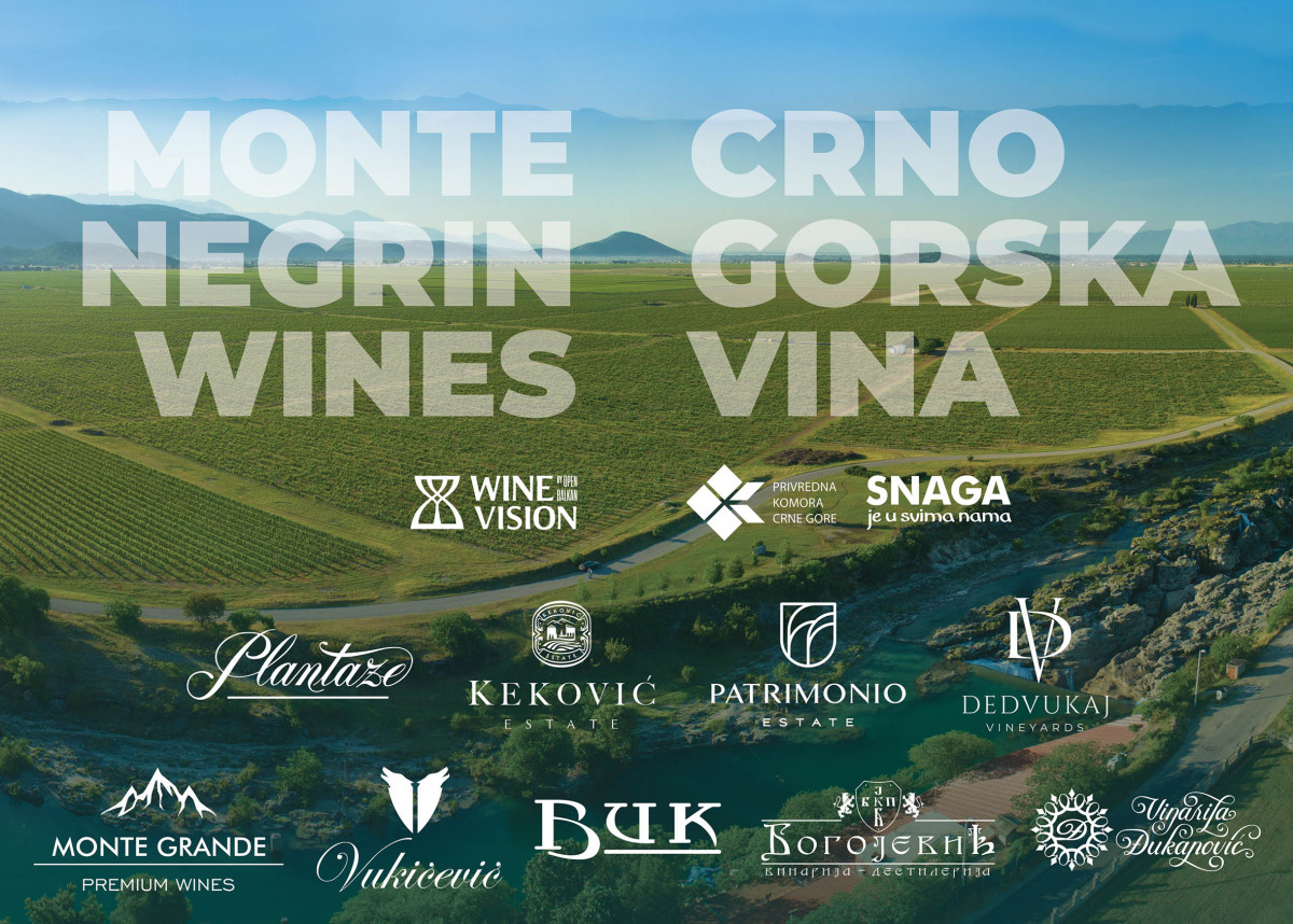 wine vision