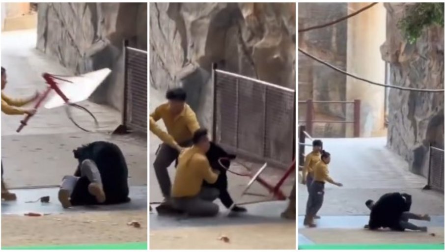 Ogroman crni medvjed napao dresera u zoološkom vrtu u Kini (VIDEO)