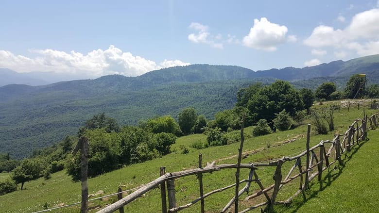Gubitak šuma kao sistemski rizik: Šta Jermenija može da nauči od Balkana