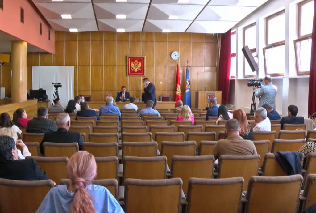 Klub odbornika DPS Nikšić: Zahvaljujući amandmanima DPS-a više novca za vantjelesnu oplodnju i podršku pčelarima