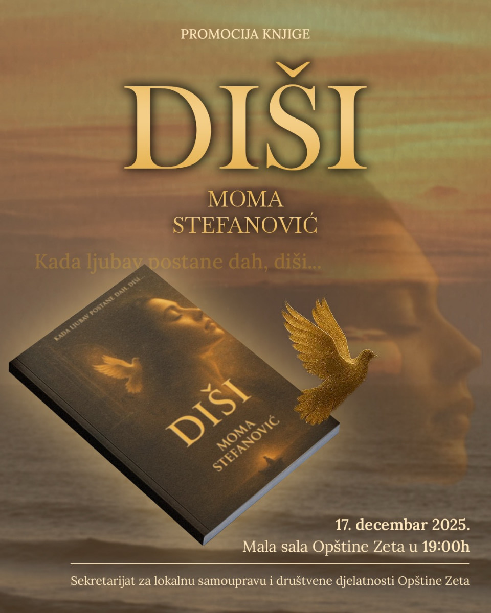 disi promocija
