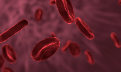 hemoglobin krvna zrnca