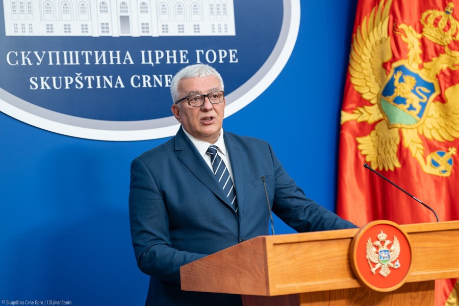Mandić: Mojkovačka bitka nije bila samo odbrana linije fronta, već i obraz, savjest, čast i istorijsko dostojanstvo Crne Gore i Srbije!