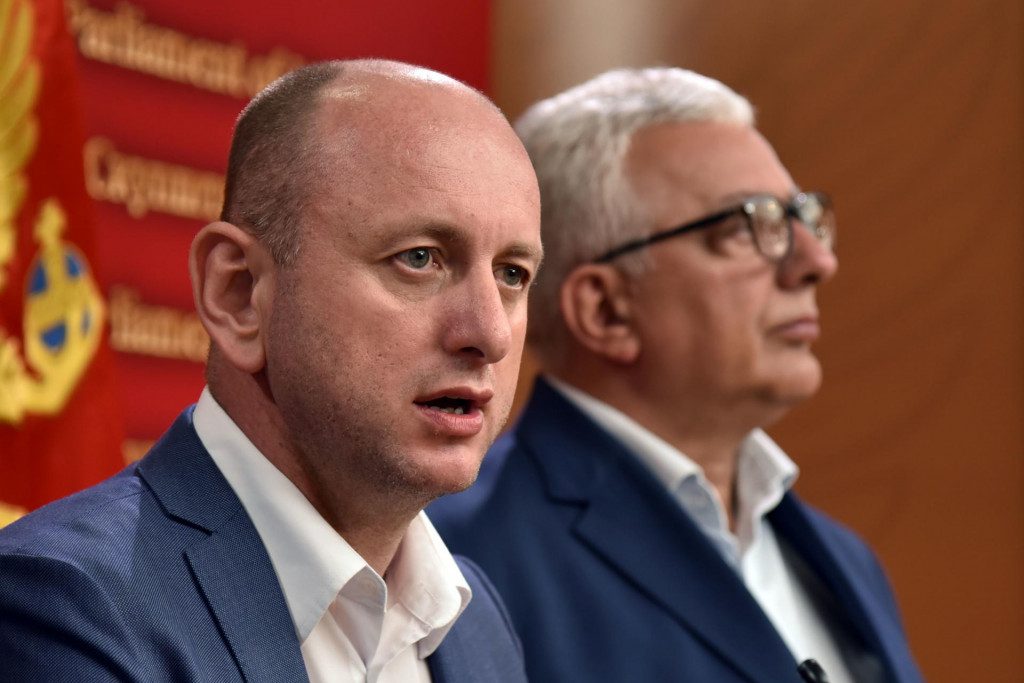 milan-knezevic-i-andrija-mandic
