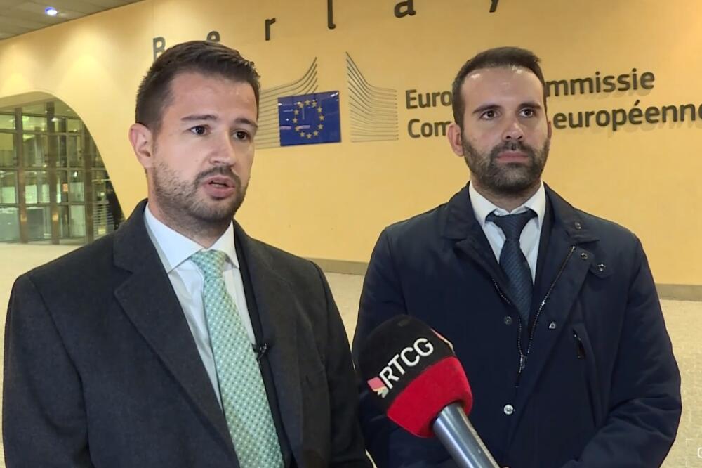 milatović i spajić