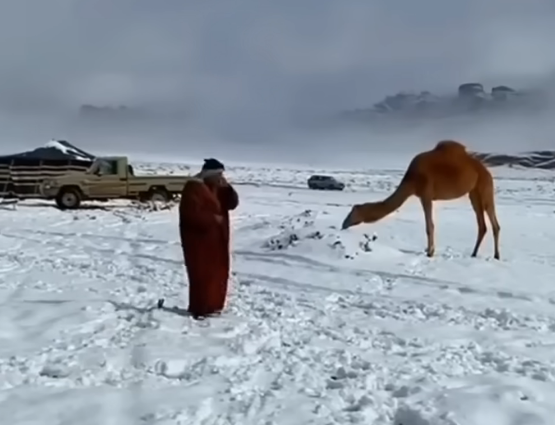snijeg suadijska arabija