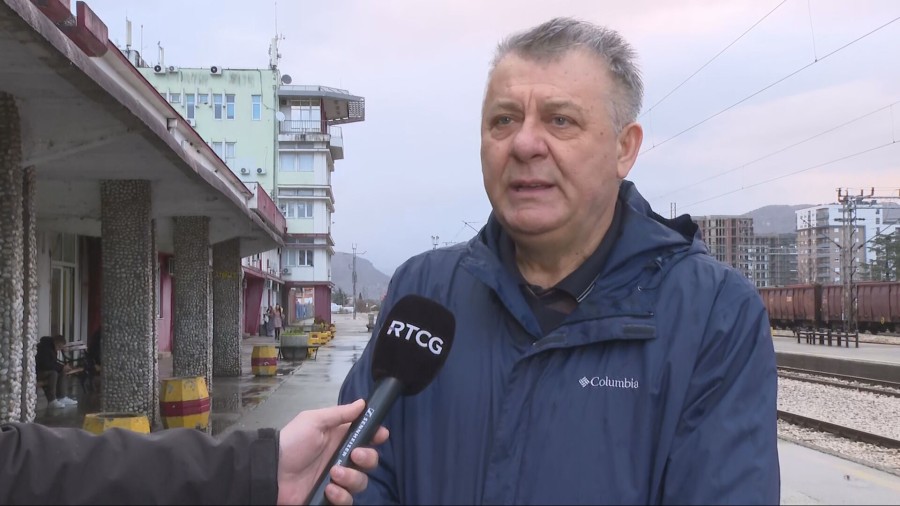 SOMOVIĆ