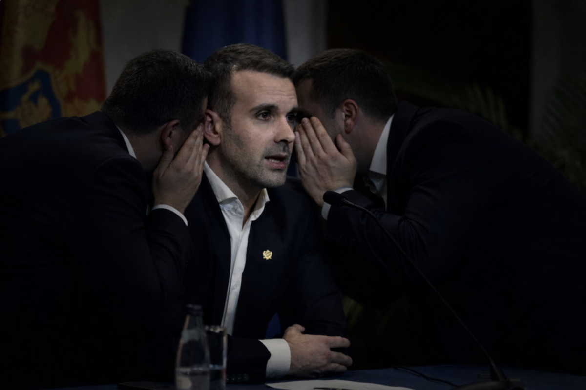 SPAJIĆ 12